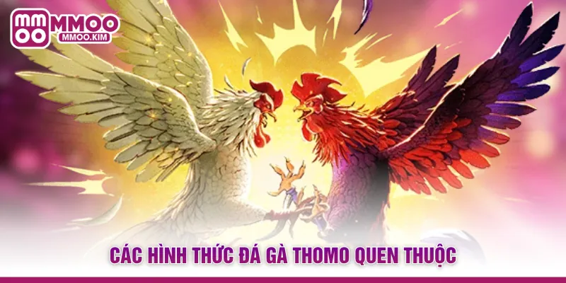 Các hình thức đá gà Thomo quen thuộc